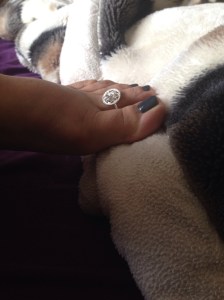 11939839_848261415222422_1944659088_o