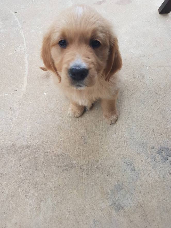 17626515_1241825389199354_2451589513410649588_n