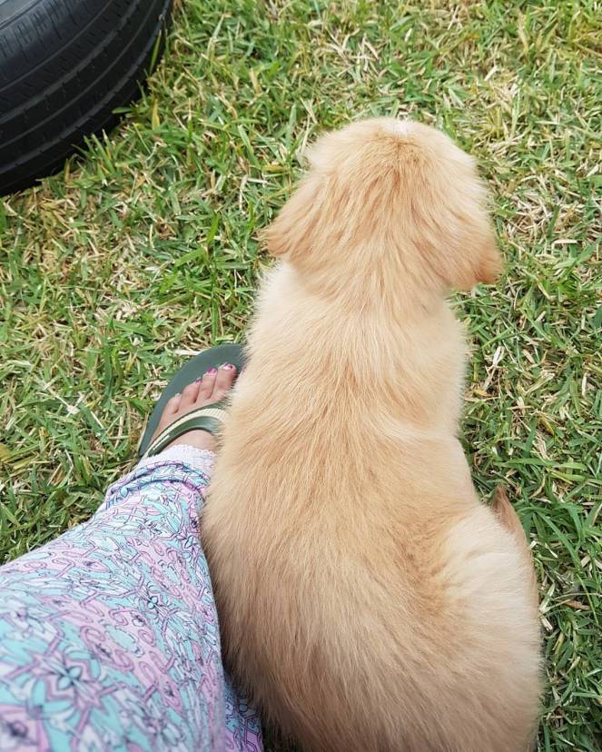 17807402_1245926718789221_3049656471977060250_o